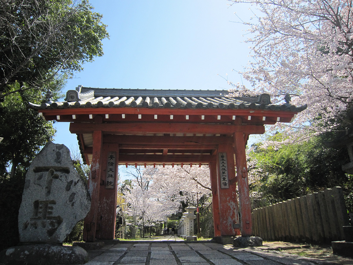 Omote-Sanmon, or Main Gate