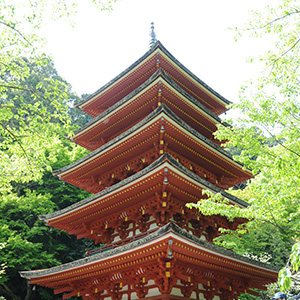 La pagode à cinq étages