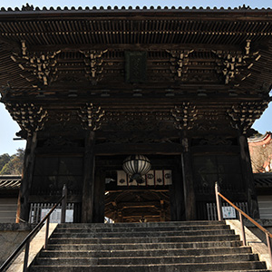 Porte Niō-mon