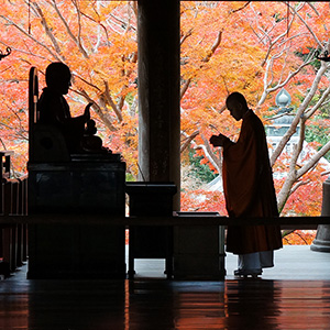 修行佛道的僧侶們