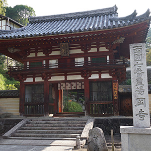 Porte Niō-mon