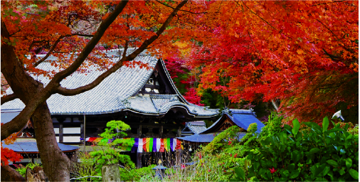 岡寺